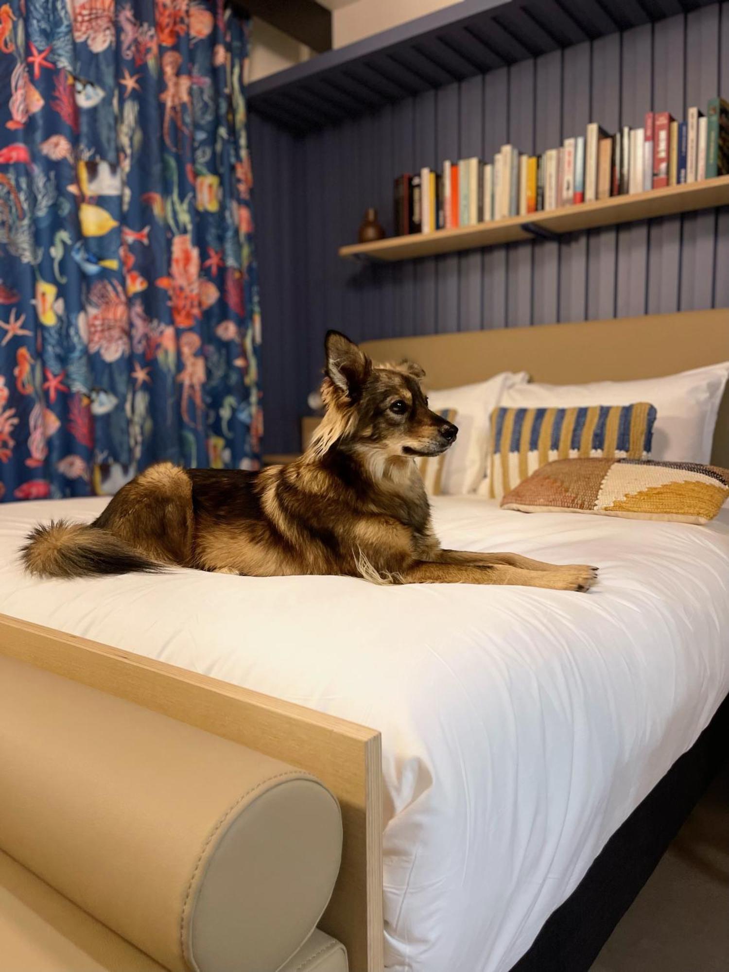 Jost Hotel Le Havre Centre Gare Ngoại thất bức ảnh